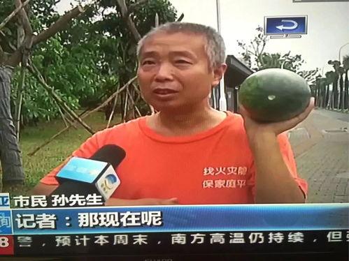 警察热门吃瓜事件,揭秘背后真相与争议