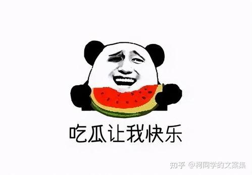 发文吃瓜,从“发文吃瓜”看明星幕后故事