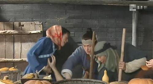 秀才吃瓜的视频,揭秘古代文人趣味生活