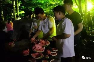 学院餐厅吃瓜事件,一场校园饮食文化的反思
