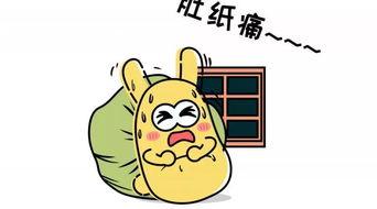 吃瓜群众换装,时尚潮流新风向