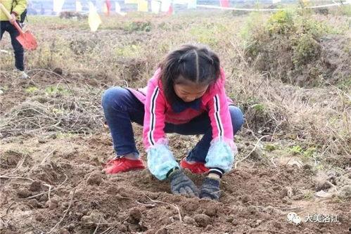 山建吃瓜,吃瓜群众揭秘校园热点事件