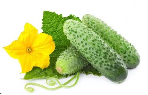 苏景言吃瓜系统,揭秘娱乐圈幕后风云