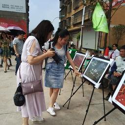 梧州吃瓜群众事件,网络舆论场上的风波与反思