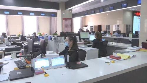 政务大厅吃瓜,透视公共服务中的社会观察