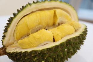 徐闻榴莲事件吃瓜视频,一场网络热议的吃瓜大戏揭秘