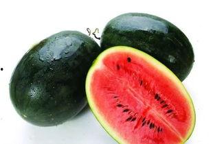 海宁极氪灰灰吃瓜,瓜田里的美食探索之旅