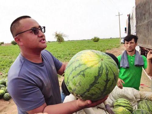 户外吃瓜照片,共享夏日悠闲时光