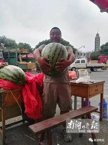 吃瓜群众社会王,揭秘网络舆论场的“瓜农”传奇