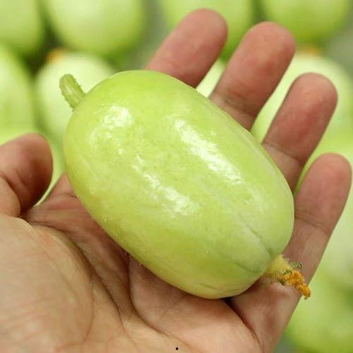 孕妇吃玉女瓜吗,孕妇适宜食用玉女瓜吗？