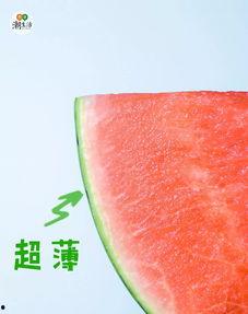 夏日吃瓜宝典评测