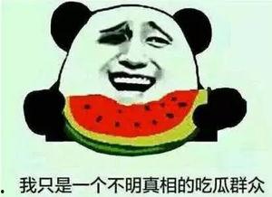 甘愿做吃瓜群众