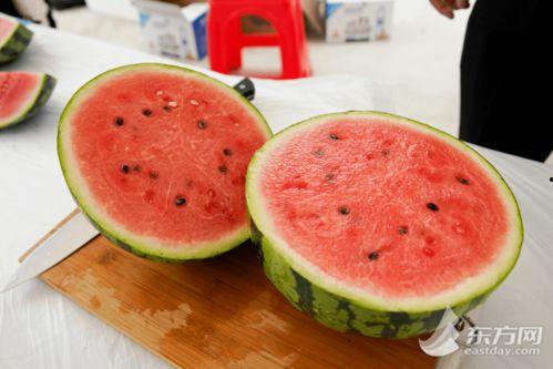 上海娜娜吃瓜