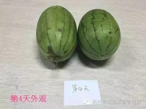 红中吃瓜2,揭秘娱乐圈背后的秘密与真相